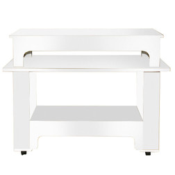 ANS Manicure Quick Dry Table, CLASSIC, Dual, White