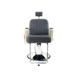 Berkeley All-Purpose Salon Chair, HUDSON, front view Berkeley All-Purpose Salon Chair, HUDSON, front view