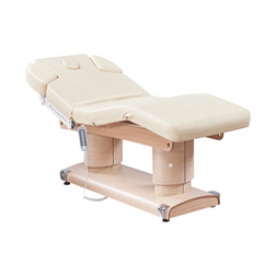 Belvedere Electric Spa Treatment Table, beige with wood finish base Belvedere Electric Spa Treatment Table, beige with wood finish base