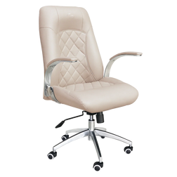 Whale Spa Diamond Nail Salon Customer Chair 3209, khaki