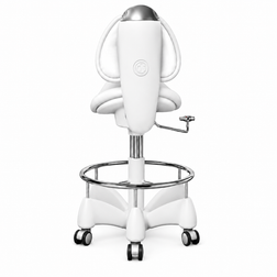 Tecnodent PLUTO Ergonomic Saddle Stool back view