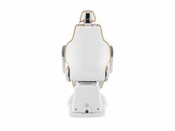 Tecnodent LINDA EVO Electric Knee-Break Treatment Chair back view