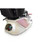ANS Pedicure Spa CYGNINI Back