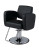 Takara Belmont Styling Chair, VIRTUS