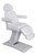 Budget-Friendly Veritas Electric Facial Chair raised