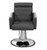 Deco Hair Salon Furniture All Purpose Chair, BORA, Gray front view