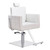 DIR Salon Furniture Hair Styling Chair, TETRIS White