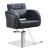 DIR Hair Styling Chair, ANODIC