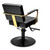 Oro Industrial-Style Hydraulic Styling Chair back view
