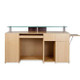 ANS Nail Salon Furniture Reception Desk/Counter, ION, back view