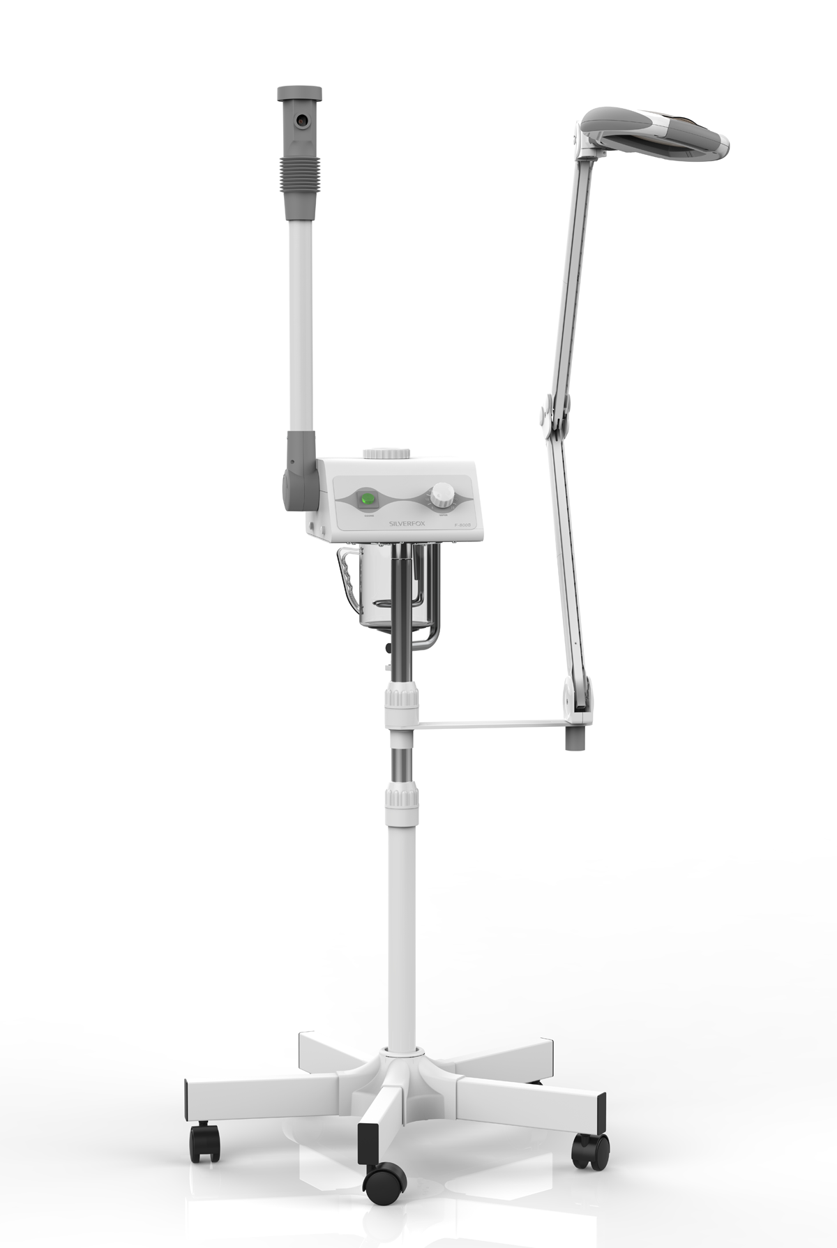 Silverfox facial steamer 800 with 1005 magnifying lamp