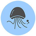 jellyfish-icon-1.png