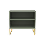 Diego Reed Green Double Open Midi Bedside Cabinet with Gold Frame Legs