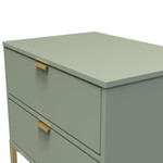 Diego Reed Green 2 Drawer Midi Bedside Cabinet with Gold Frame Legs