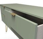 Hong Kong Reed Green 4 Drawer Bed Box with Gold Hairpin Legs