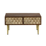 Edison 2 Drawer Coffee Table with Gold Legs