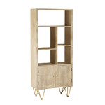 Light Gold Reclaimed Wood 2 Door Bookcase