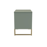 Diego Reed Green 2 Drawer Midi Bedside Cabinet with Gold Frame Legs