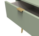 Hong Kong Reed Green 1 Drawer Midi Chest with Gold Hairpin Legs