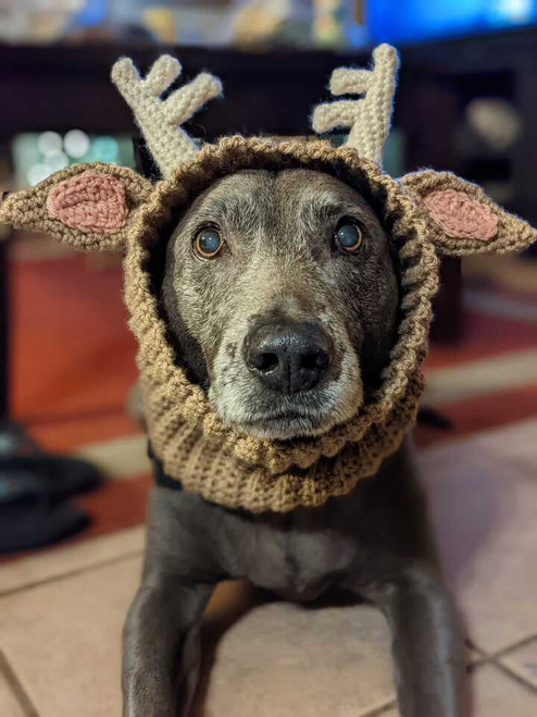 Crochet Antler Snood