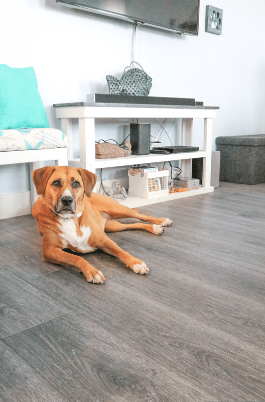 Building a Dreamy Beach Home | Michelle’s Story