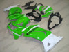 Kawasaki Ninja 250R EX250 green and white fairings