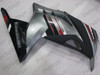Kawasaki Ninja 300 ZX-300 EX-300 black and silver plastic kit