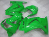 Kawasaki Ninja 250R EX250 lime green fairings