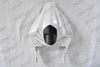 Kawasaki Ninja 300 ZX-300 EX-300 pearl white tail section