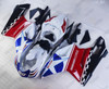 Ducati 848 1098 1198 Nicky Hayden replica fairing kit