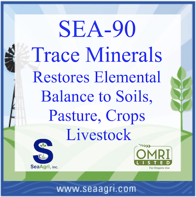 sea-90-4x4-web.jpg sea-90-4x4-web.jpg