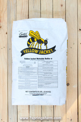 How To Keep Yellow Jackets Away From Your Home 15 Home Remedies