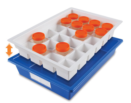 置物 Uri Specimen Cup Storage Tray