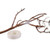 PARAFILM® NURSERY GRAFTING TAPE