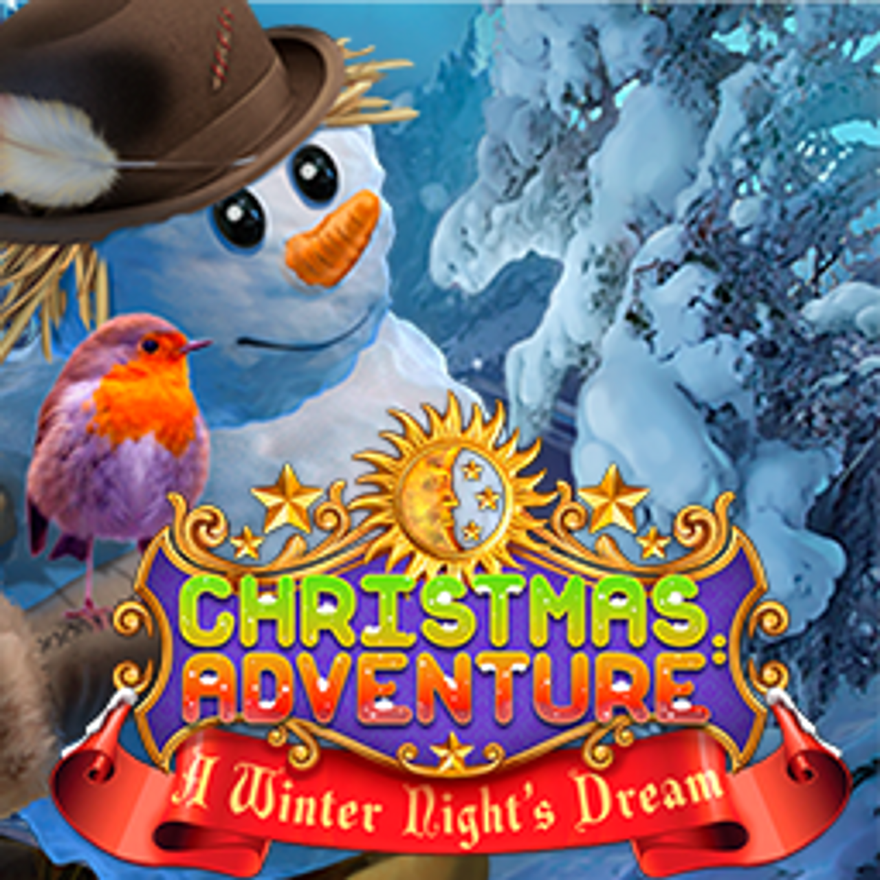 Christmas Adventures: A Winter Night's Dream