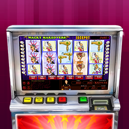 Hoyle Wacky Makeovers