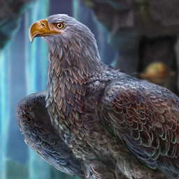 Beyond the Unknown: A Matter of Time