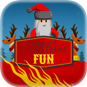 Crazy Christmas Fun