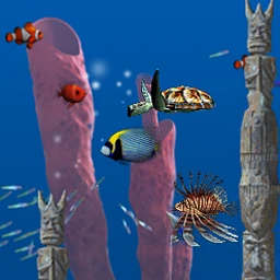 Big Kahuna Reef
