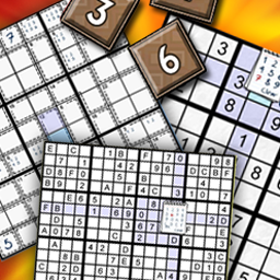Newspaper Puzzle Challenge