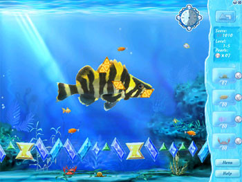 Imagem 5