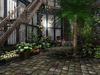 Imagen 5