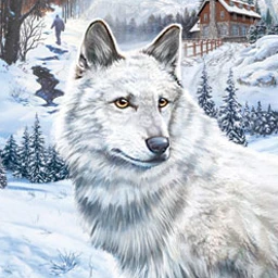 Nancy Drew: The White Wolf of Icicle Creek