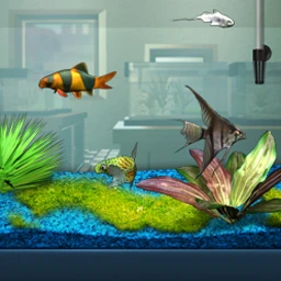 FishCo