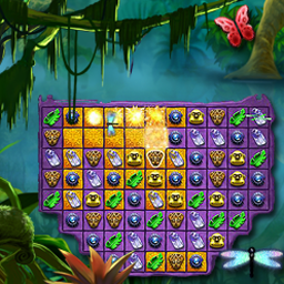 Rainforest Adventure
