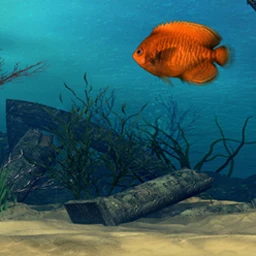 Treasures of the Deep
