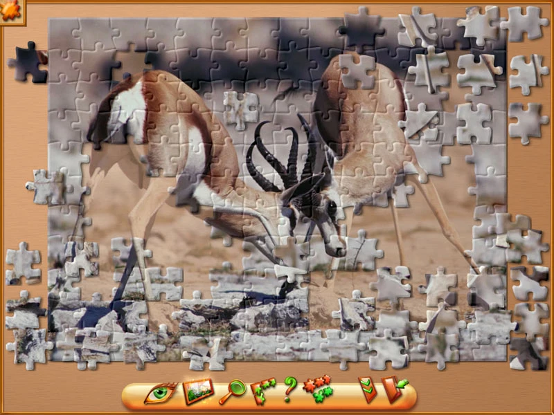 Imagem 6