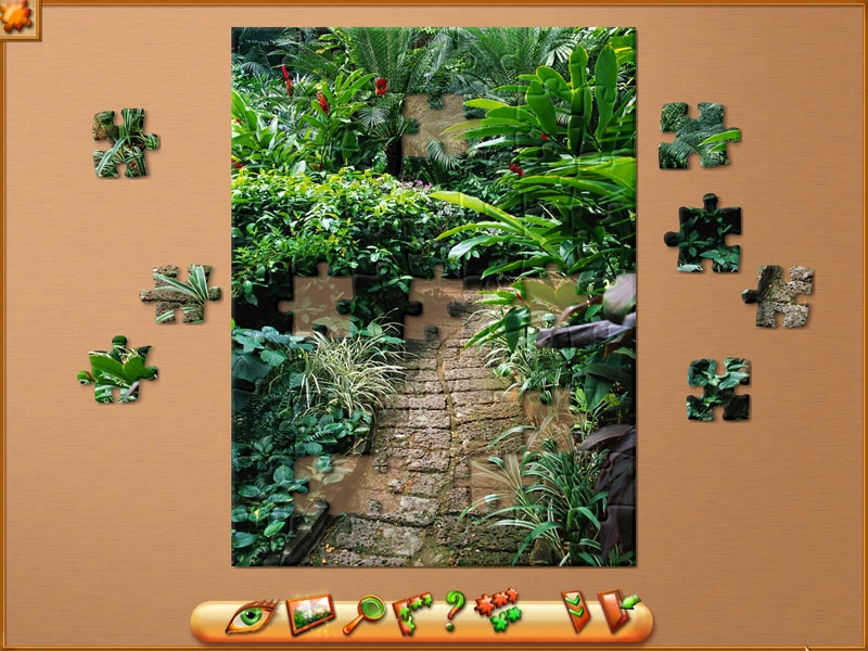 Imagem 7