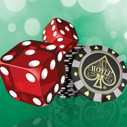 Hoyle Casino Games 2012