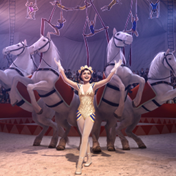 Runaway with the Circus